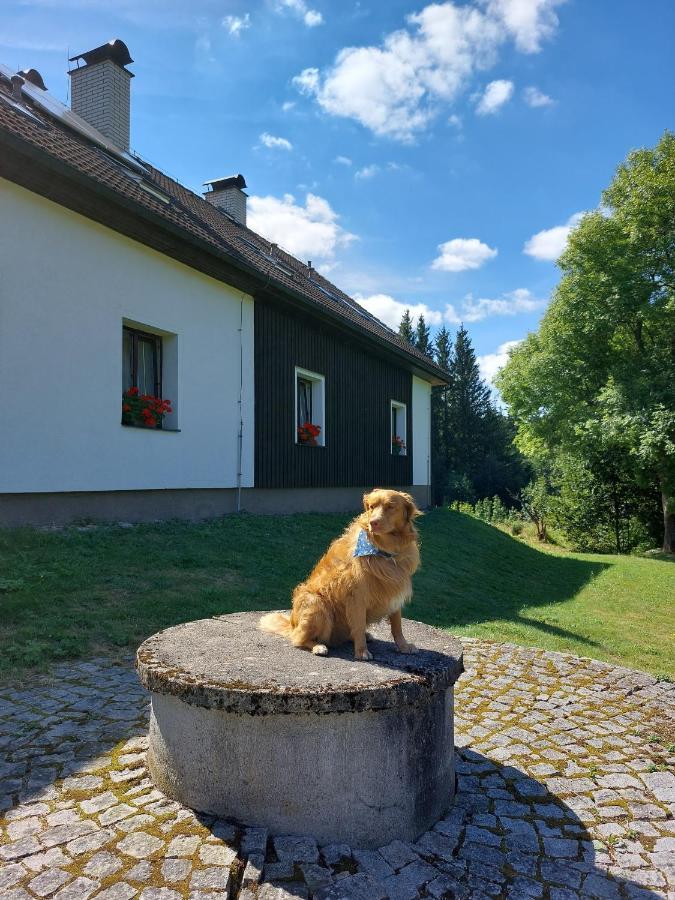 Penzion Na Výsluní Strasin Esterno foto